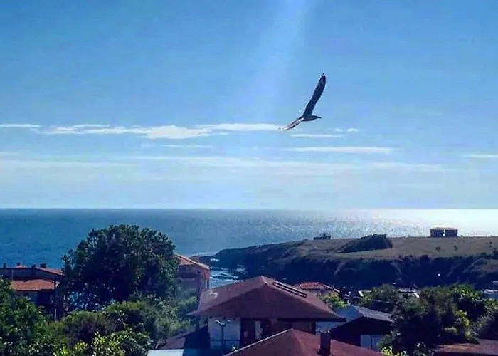 Brunette Beauties & Sinemorets Affittacamere 3*