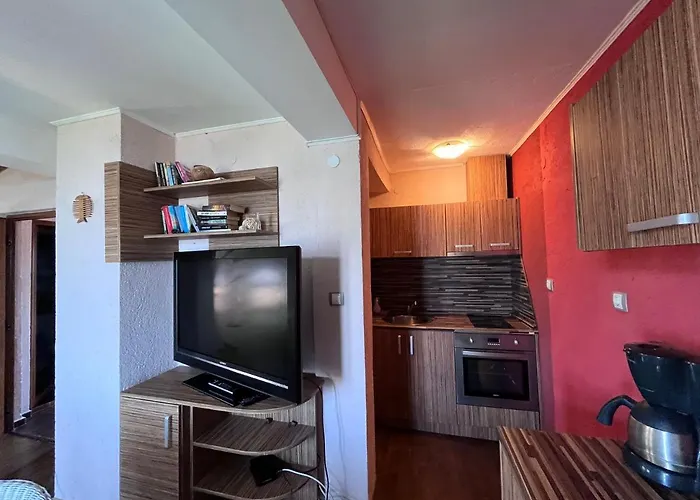 Brunette Beauties & Sinemorets