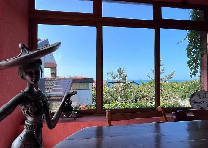 Brunette Beauties & Sinemorets 3*