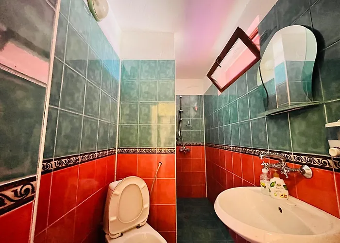 Brunette Beauties & Sinemorets