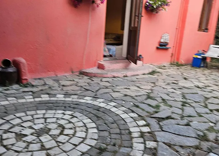 Brunette Beauties & Sinemorets Sinemoretz