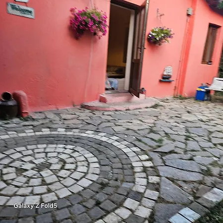 Brunette Beauties & Sinemorets Szinemorec