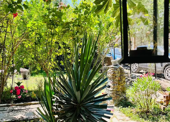 Brunette Beauties & Sinemorets